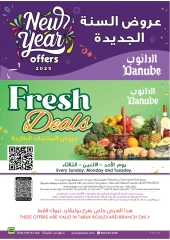 Page 25 in New Year Offers at Danube Saudi Arabia