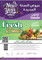 Page 25 in New Year Offers at Danube Saudi Arabia