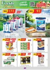 Page 15 in New Year Offers at Danube Saudi Arabia