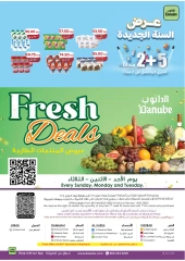 Page 25 in New Year Offers at Danube Saudi Arabia