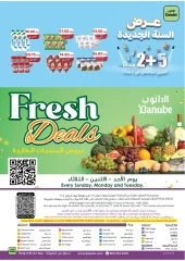 Page 25 in New Year Offers at Danube Saudi Arabia