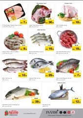 Page 14 in Mega Days Offers - Al Raqaib at Nesto UAE
