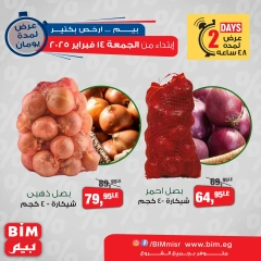Page 3 |Offres de légumes EN Marché du BIM Egypte