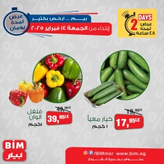 Page 2 |Offres de légumes EN Marché du BIM Egypte
