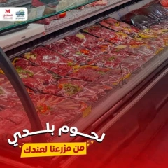 صفحة 1 ضمن عروض اللحوم البلدي في المحلاوى ستورز مصر