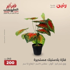 صفحة 36 ضمن عروض قطع الديكور في رنين مصر