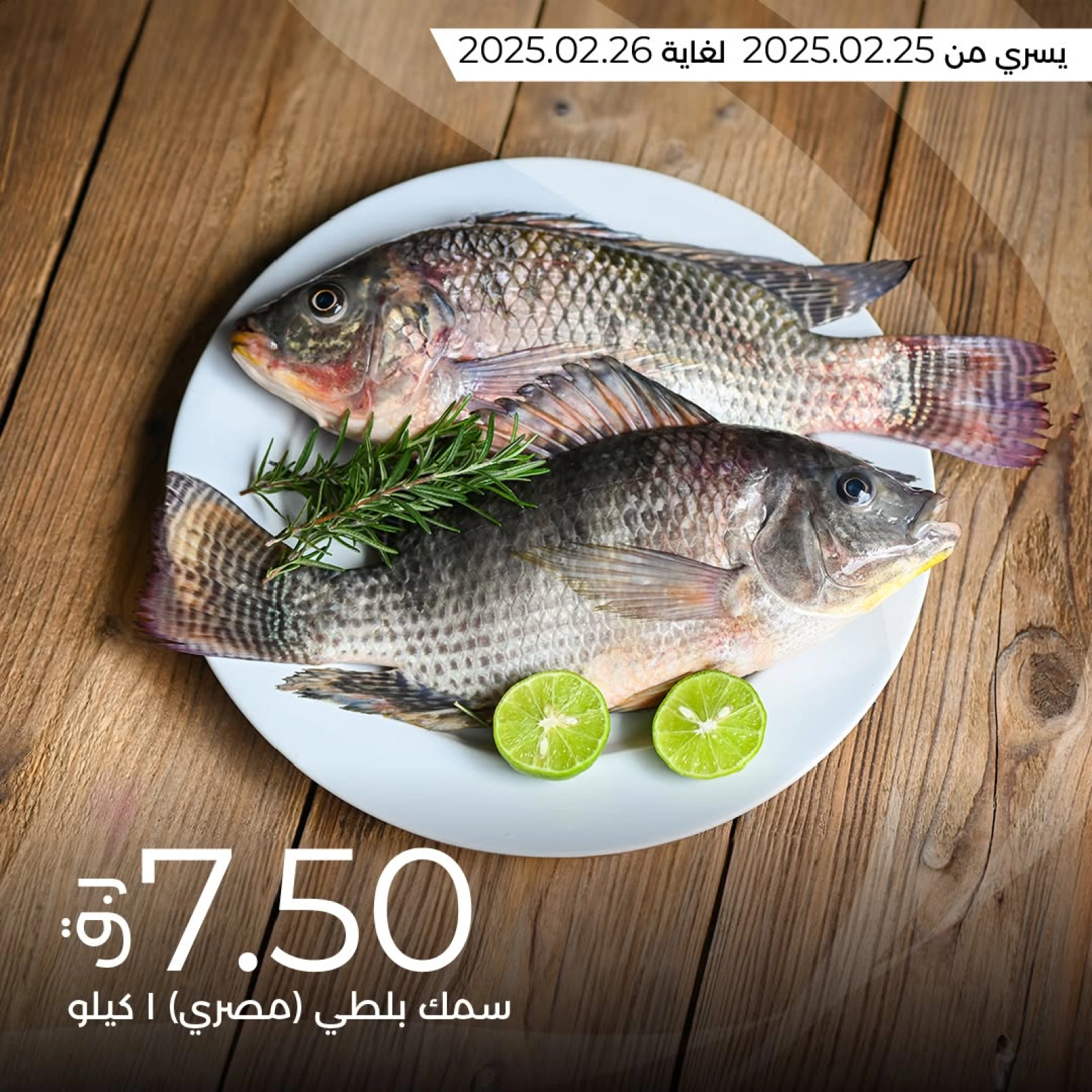 صفحة 1 ضمن عروض الأسماك في لولو قطر