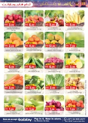 Page 11 |Offers Ahlan Ramadan - Al Ain at Km trading UAE