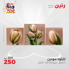 صفحة 12 ضمن عروض قطع الديكور في رنين مصر