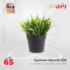 صفحة 33 ضمن عروض قطع الديكور في رنين مصر