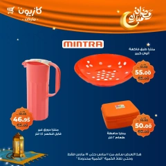 صفحة 5 |عرض البريمو لدي كازيون ماركت مصر