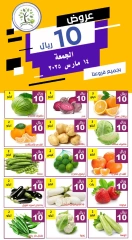صفحة 5 ضمن عروض مهرجان الجمعة في حصاد البساتين السعودية
