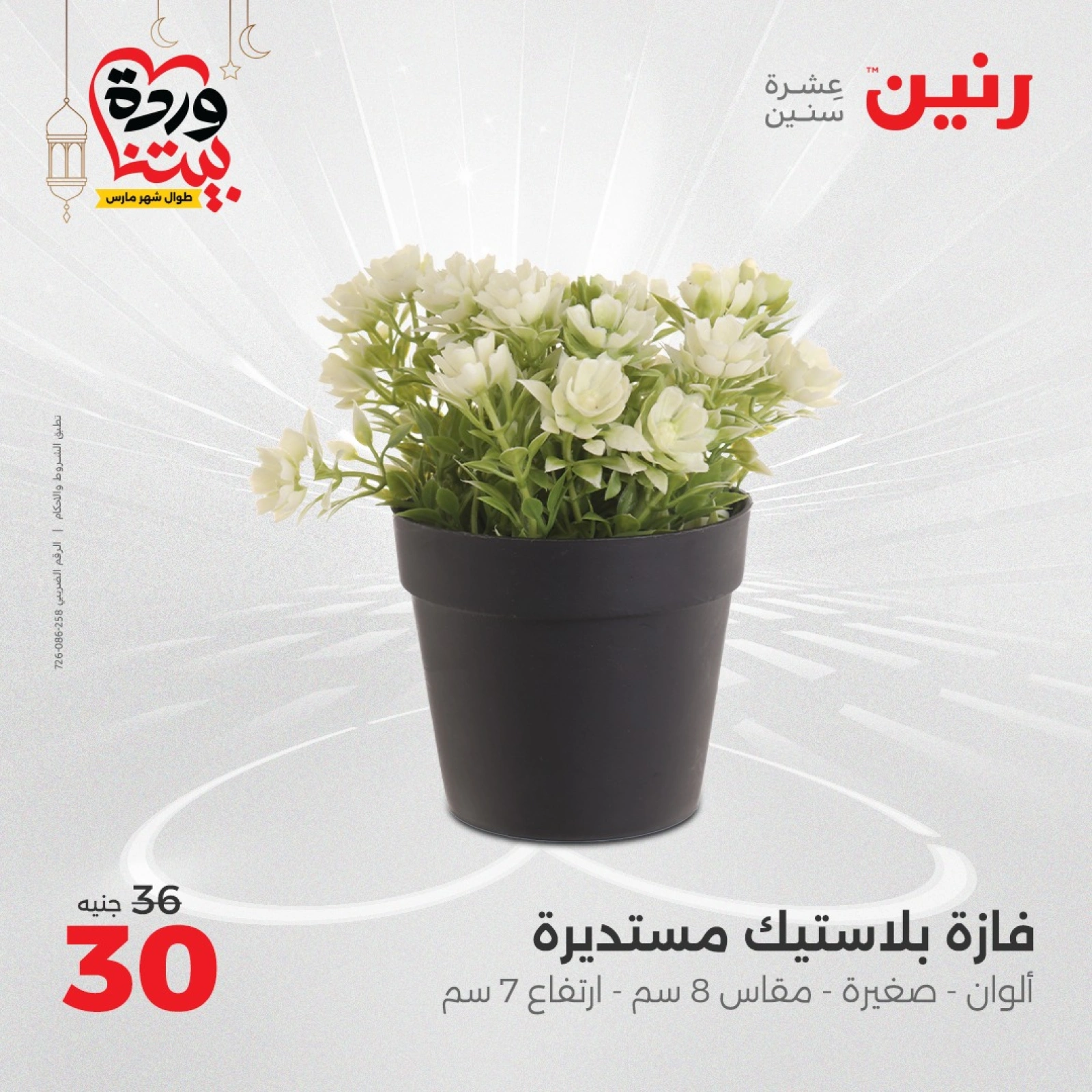 صفحة 35 ضمن عروض قطع الديكور في رنين مصر
