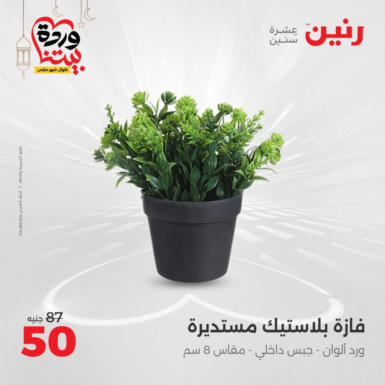 صفحة 34 ضمن عروض قطع الديكور في رنين مصر