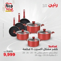 صفحة 6