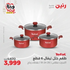 صفحة 19