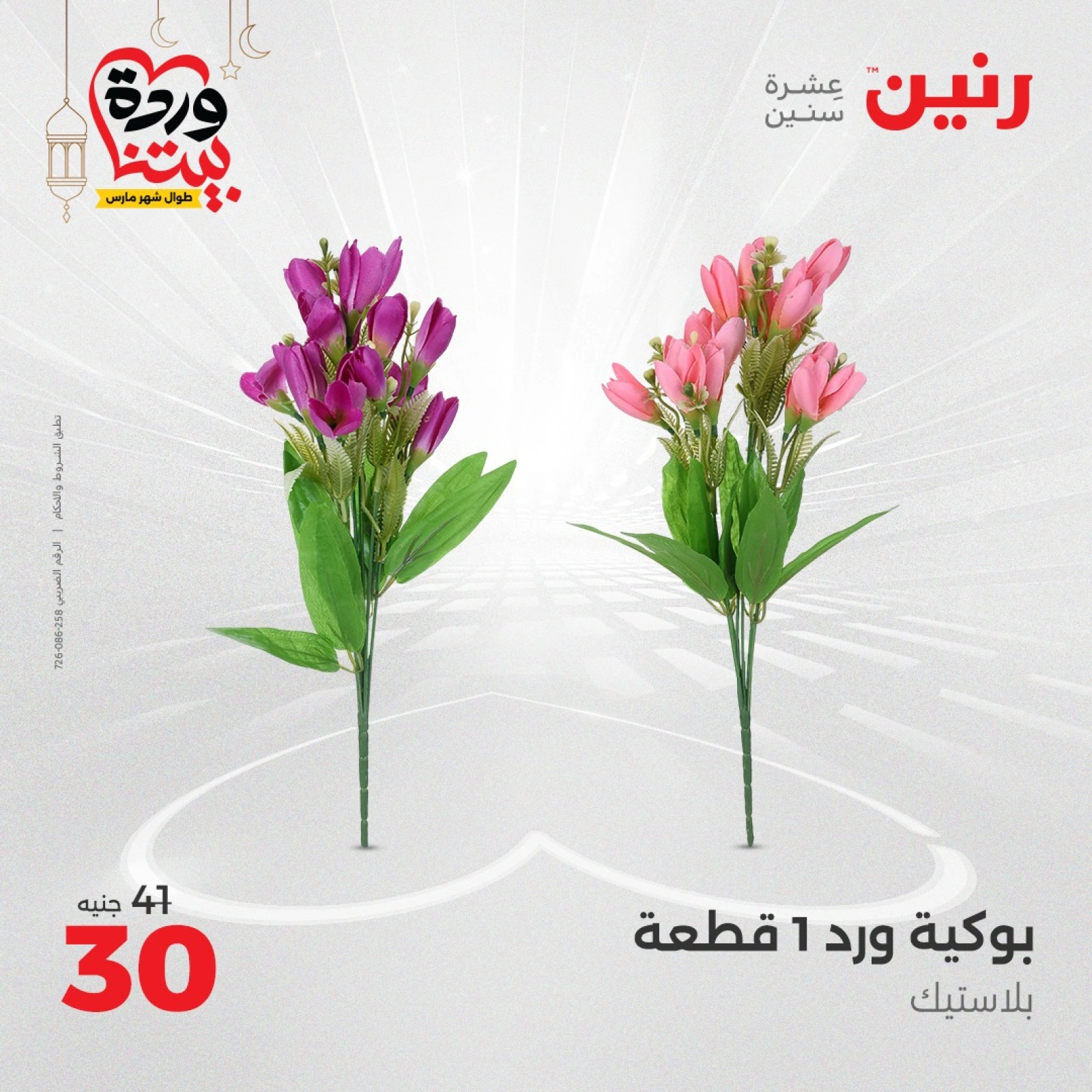 صفحة 30 ضمن عروض قطع الديكور في رنين مصر