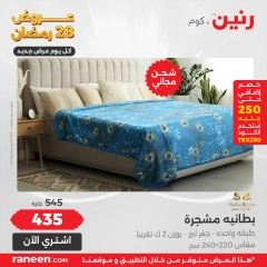 صفحة 3 |عروض اليوم الواحد لدي رنين مصر