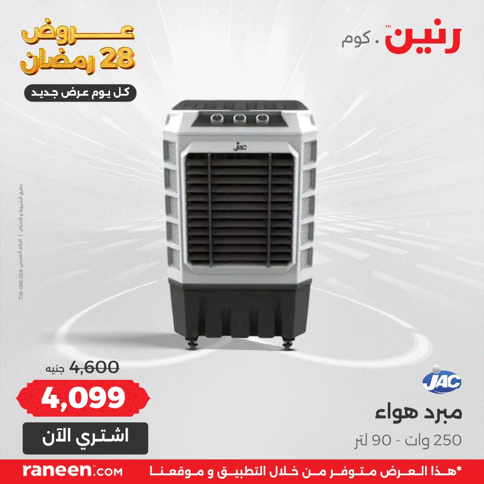 صفحة 4 |عروض اليوم الواحد لدي رنين مصر