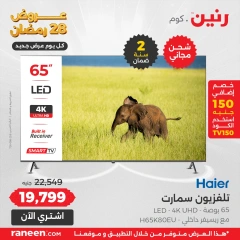 صفحة 9 |عروض اليوم الواحد لدي رنين مصر