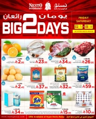 Page 1 |Big 2 Days offers at Nesto Saudi Arabia