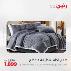 صفحة 9 |عروض اليوم الواحد لدي رنين مصر