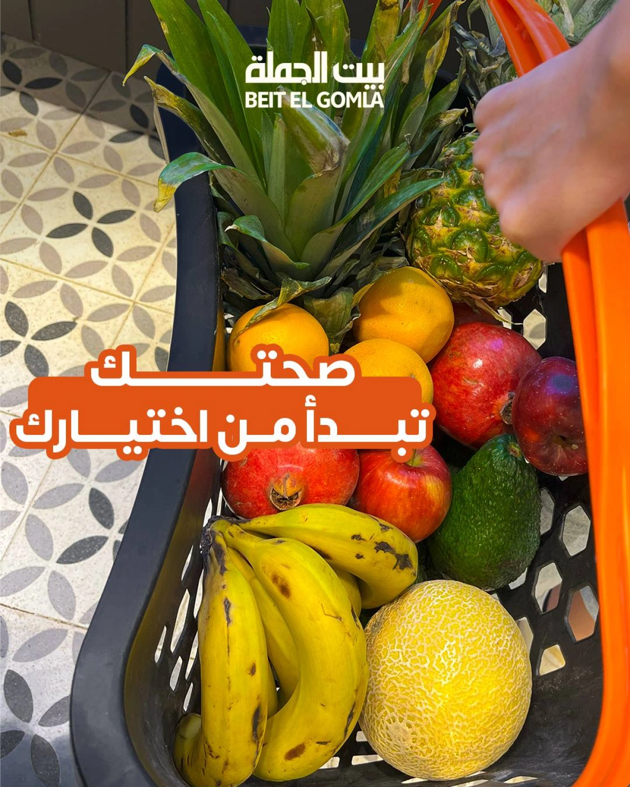 صفحة 1 ضمن عروض الخضار والفاكهة في بيت الجملة مصر
