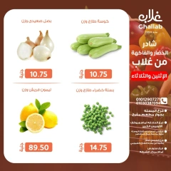 صفحة 4 ضمن شادر الأثنين والثلاثاء في أسواق غلاب مصر
