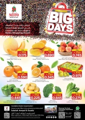 Page 2 in Big Days Deals at Nesto Oman