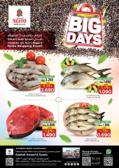 Page 3 in Big Days Deals at Nesto Oman