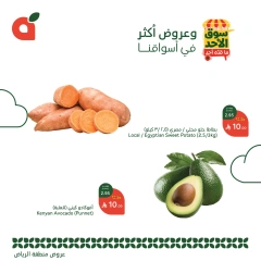 صفحة 3 ضمن عروض الأحد ماقده أحد في بنده السعودية