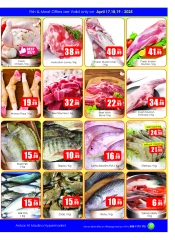 Página 7 en Ofertas de ensueño en Anbar AL Madina Emiratos Árabes Unidos