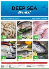 Page 2 dans Offres fraîches chez supermarché Istanbul Émirats arabes unis