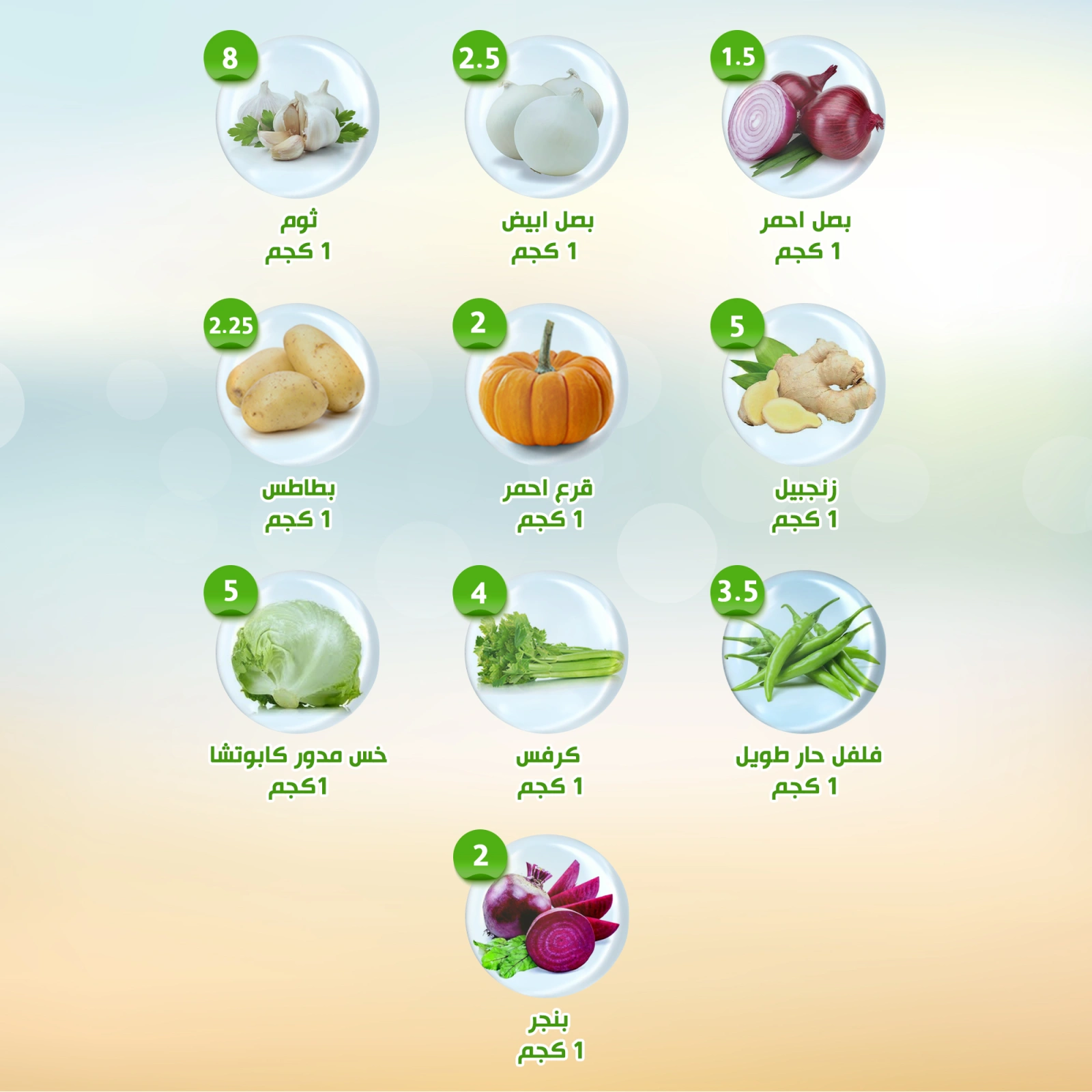 صفحة 11 ضمن العروض الأسبوعية في النهضة المصرية الإمارات