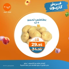 صفحة 4 |عروض الفريش لدي كازيون ماركت مصر