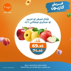 صفحة 1 |عروض الفريش لدي كازيون ماركت مصر