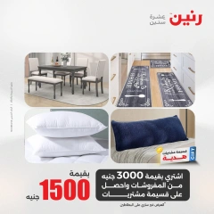 صفحة 15 |عروض اليوم الواحد لدي رنين مصر