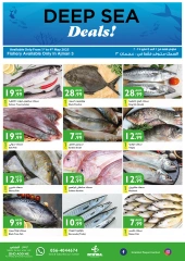 صفحة 15 |صفقات قيمة لدي إسطنبول سوبر ماركت الإمارات