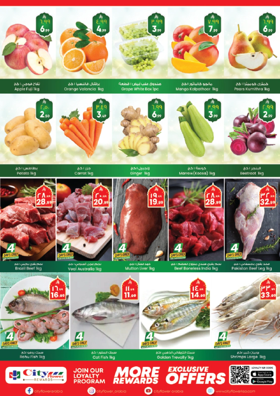 Page 2 |Mega Saver at City flower Saudi Arabia