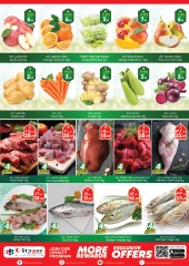 Page 2 |Mega Saver at City flower Saudi Arabia