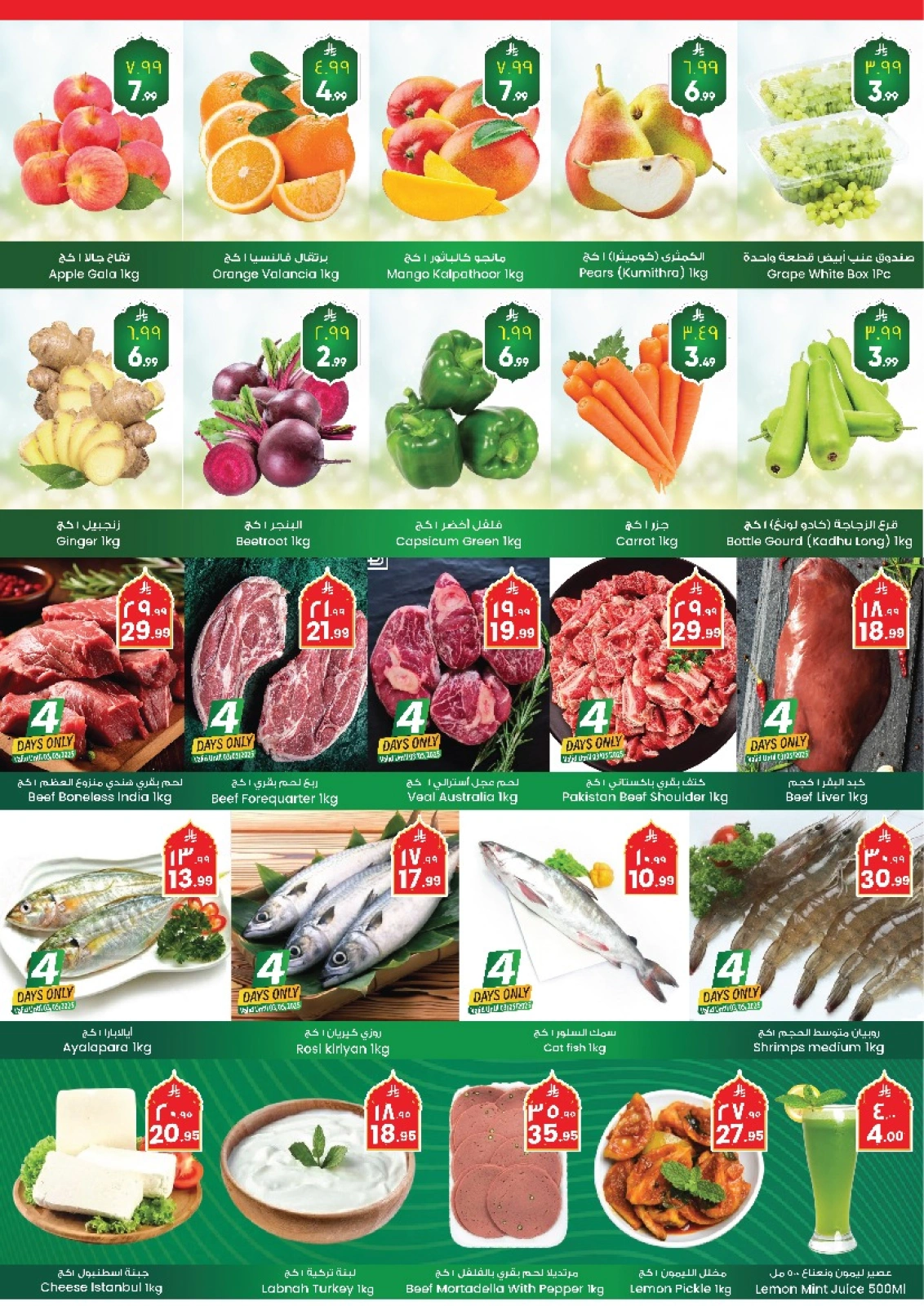 Page 2 |Mega Saver at City flower Saudi Arabia