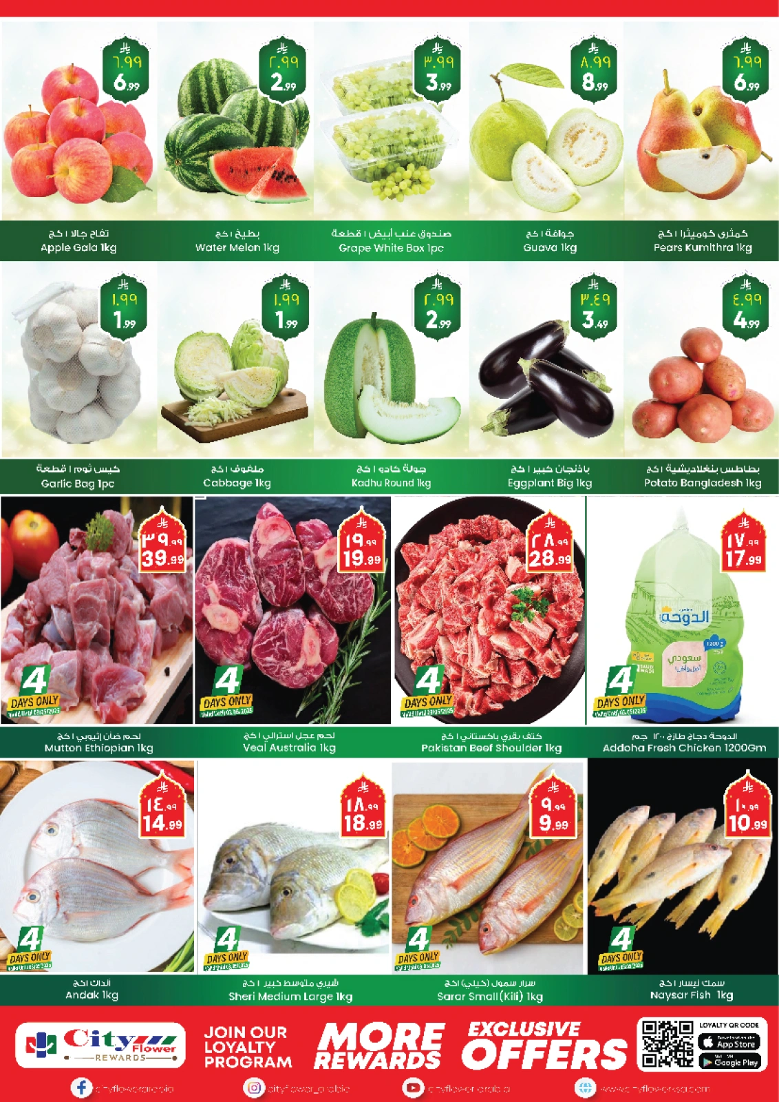 Page 2 |Mega Saver at City flower Saudi Arabia