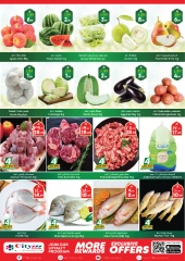Page 2 |Mega Saver at City flower Saudi Arabia