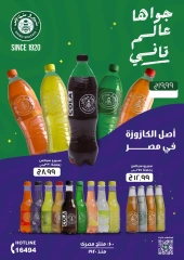 Page 29 dans Offres d'économie chez El Mahlawy Egypte