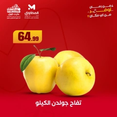 Page 10 dans Offres d'économie chez El Mahlawy Egypte