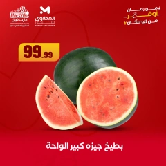 Page 4 dans Offres d'économie chez El Mahlawy Egypte