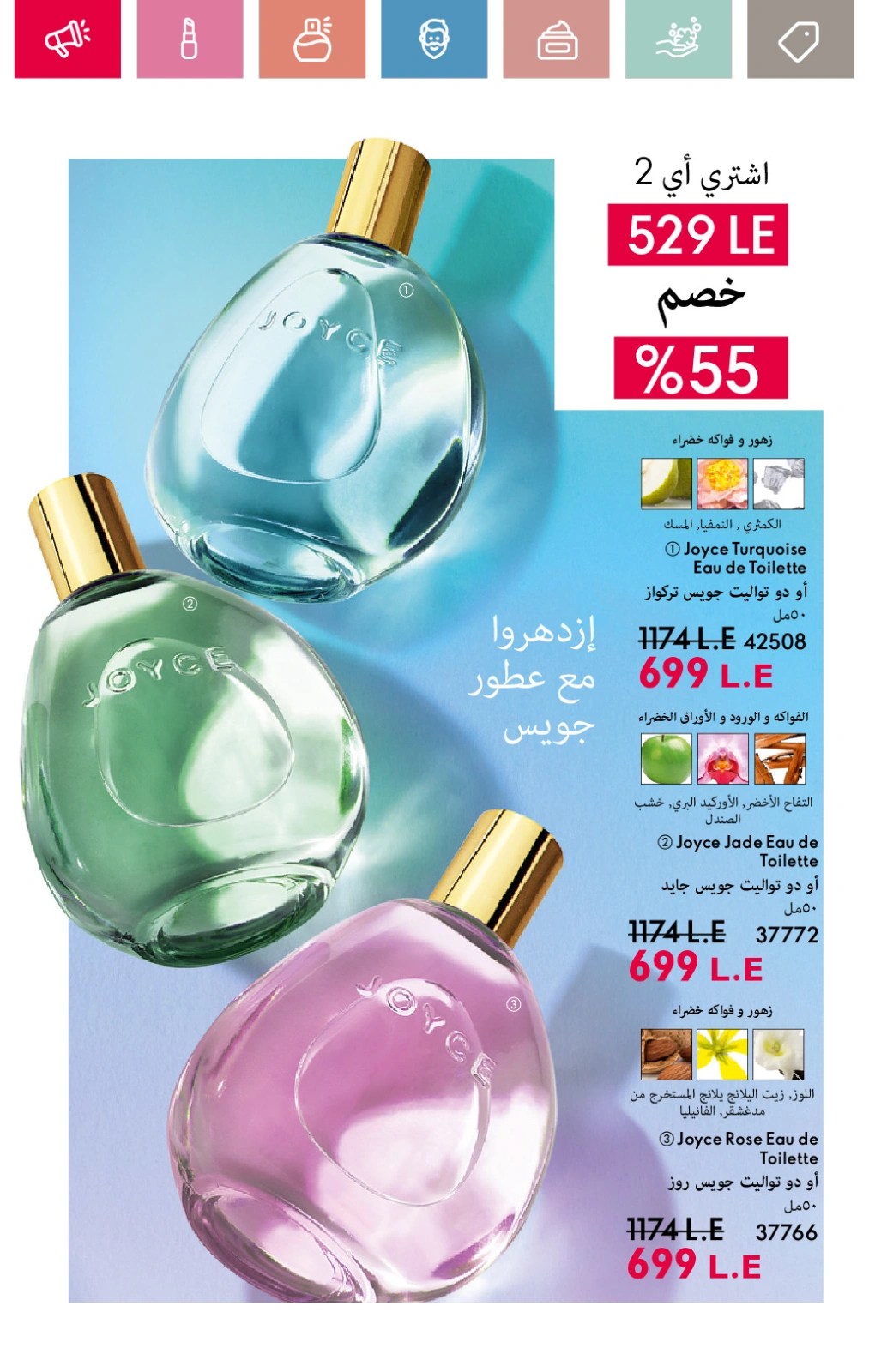 صفحة 17