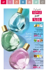 صفحة 17