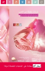 صفحة 22