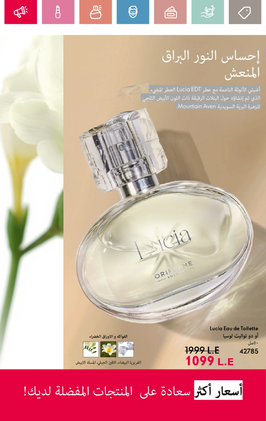 صفحة 24